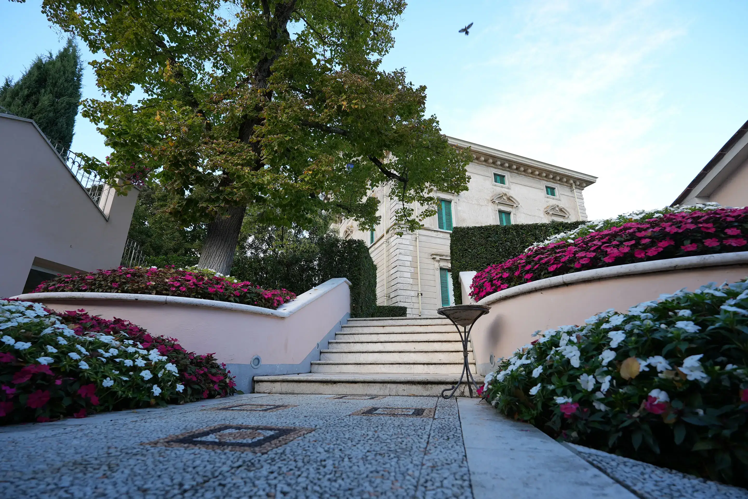 Gallery - Foto evento