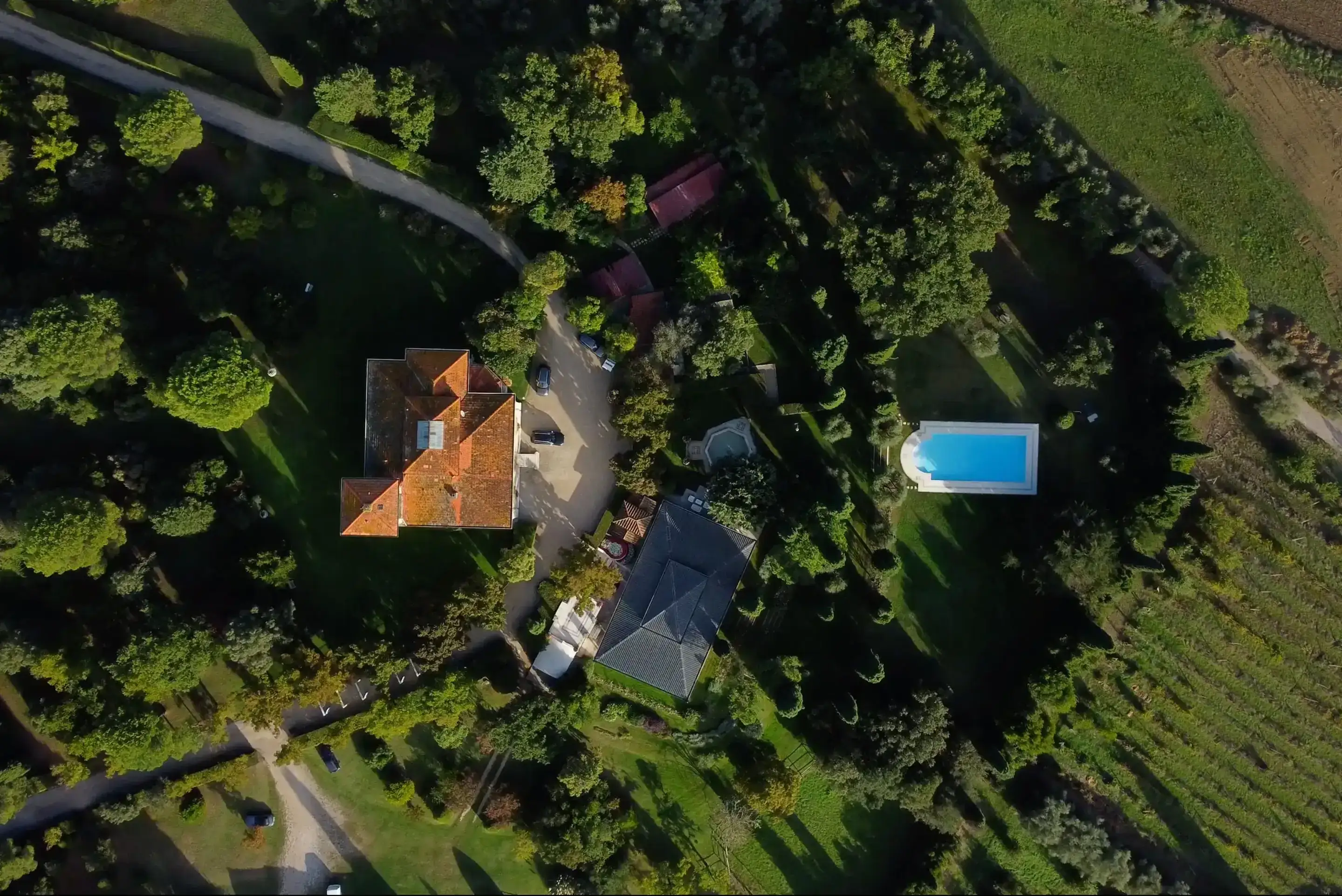 Gallery - Foto evento